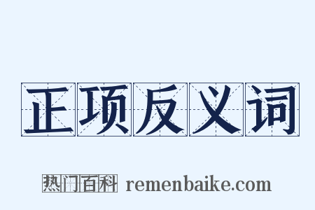 正项反义词是什么意思的图片
